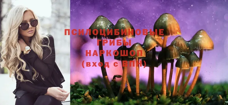 Псилоцибиновые грибы Cubensis  Харабали 